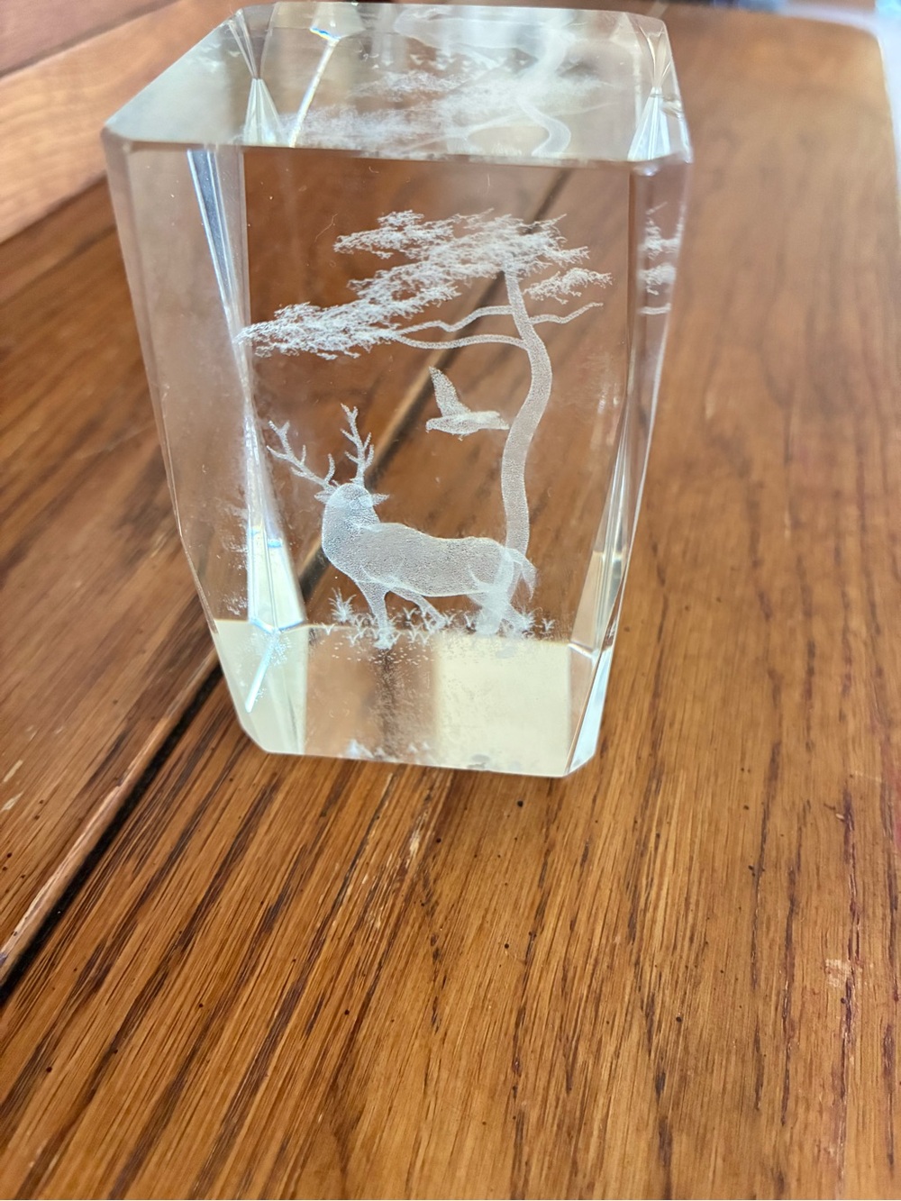 3 ” Tall Crystal Glass 3D Paperweight Laser Etched Deer Tree Bird 2" Wide